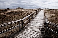 wooden bridge leading to barren landscape